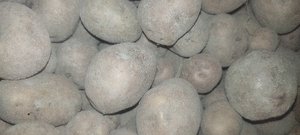 ഫോട്ടോ 2