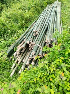 ಫೋಟೋ 2