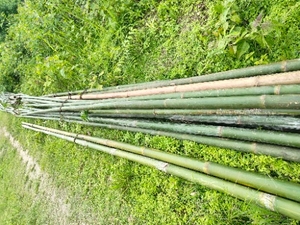 ಫೋಟೋ 5