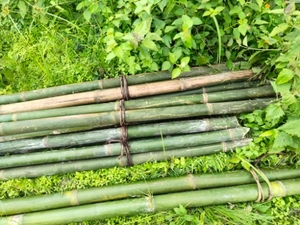 ഫോട്ടോ 2