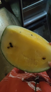 படம் 2
