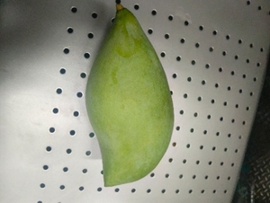 മാമ്പഴം