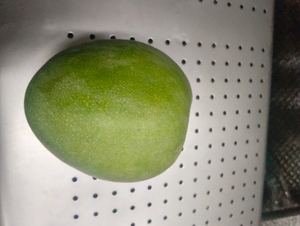 ഫോട്ടോ 2