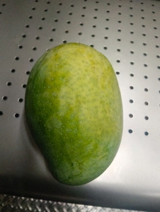 ഫോട്ടോ 5