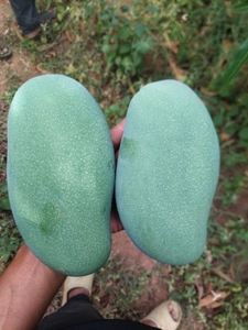 ఫోటో 2