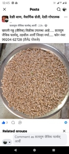 ഗോതമ്പ്