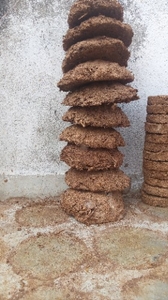 ಹಸುವಿನ ಸಗಣಿ ಕೇಕ್