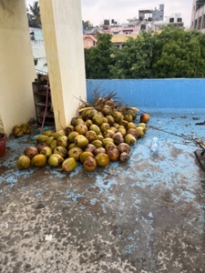 ഫോട്ടോ 2