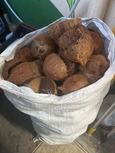 ചിരട്ട