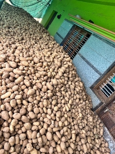 ಆಲೂಗಡ್ಡೆ