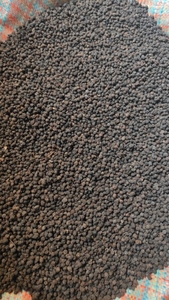 काली मिर्च