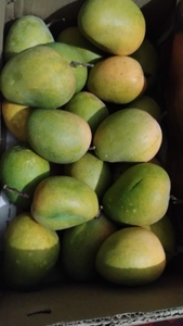 மாம்பழம்