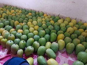 ഫോട്ടോ 2