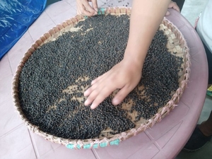 काली मिर्च