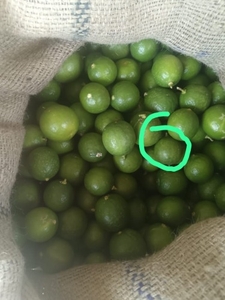 எலுமிச்சை