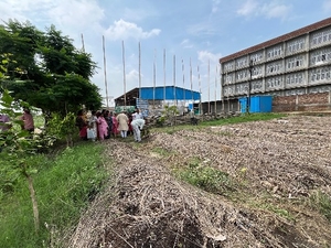 वर्मीकम्पोस्ट