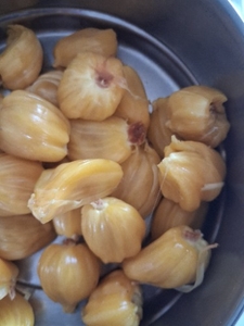 ಹಲಸಿನ ಹಣ್ಣು