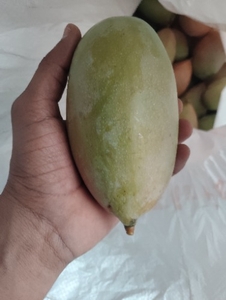 ఫోటో 2