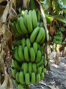 ಫೋಟೋ 3