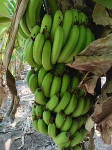 ಫೋಟೋ 4