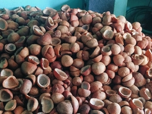 കൊപ്ര