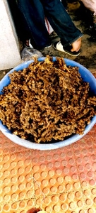 ഇഞ്ചി