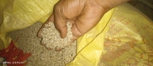 ಗ್ವಾರ್