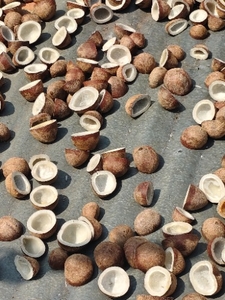 ഫോട്ടോ 2