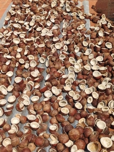 ഫോട്ടോ 3