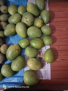 आम 