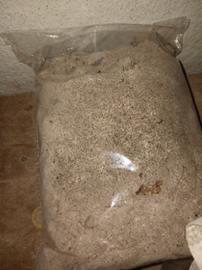 മരം ചാരം