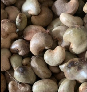 முந்திரி