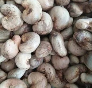 ഫോട്ടോ 2