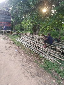 படம் 2