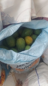 ഫോട്ടോ 5