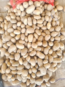 ఫోటో 2