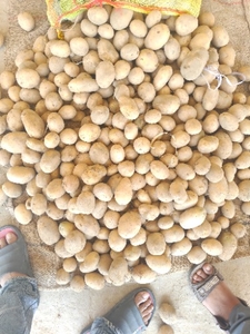 ఫోటో 3