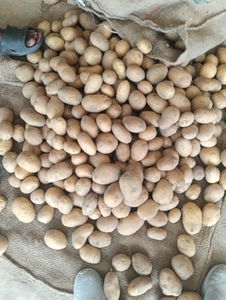 ఫోటో 5