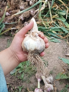 ഫോട്ടോ 2