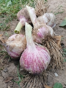 ഫോട്ടോ 3