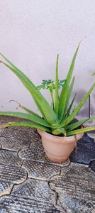 ಫೋಟೋ 3