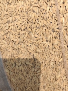 ഫോട്ടോ 3