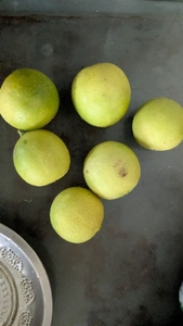 നാരങ്ങ