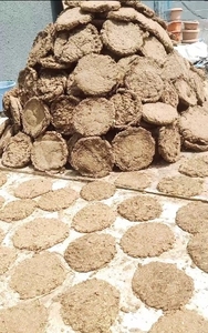 ఫోటో 2