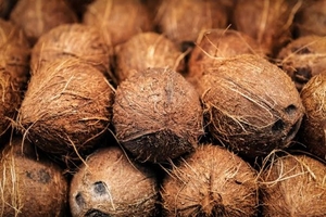 ತೆಂಗಿನಕಾಯಿ