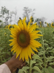 ഫോട്ടോ 3
