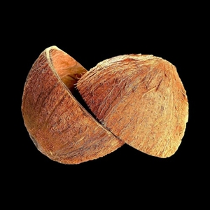 ತೆಂಗಿನಕಾಯಿ ಚಿಪ್ಪು
