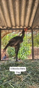 ഫോട്ടോ 3