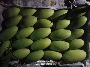 ഫോട്ടോ 2