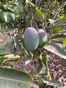 ഫോട്ടോ 2